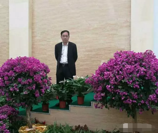 伟志模板董事长来保军——我为伟志代言,幸福源于心中的爱