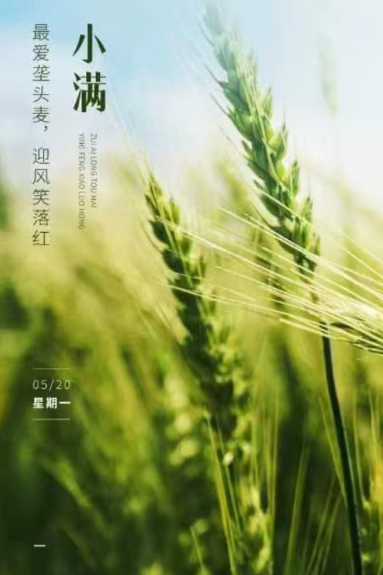 小满即安，未来可期！