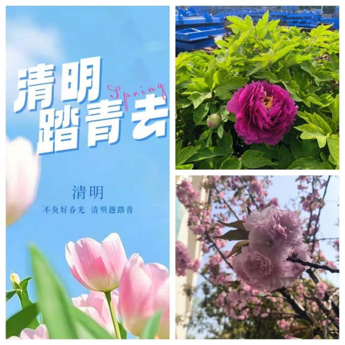 踏春的季节，美丽的伟志模板